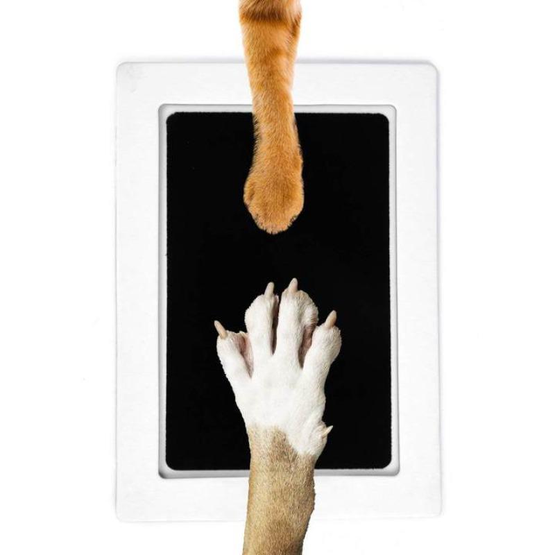 Paw Print Pad