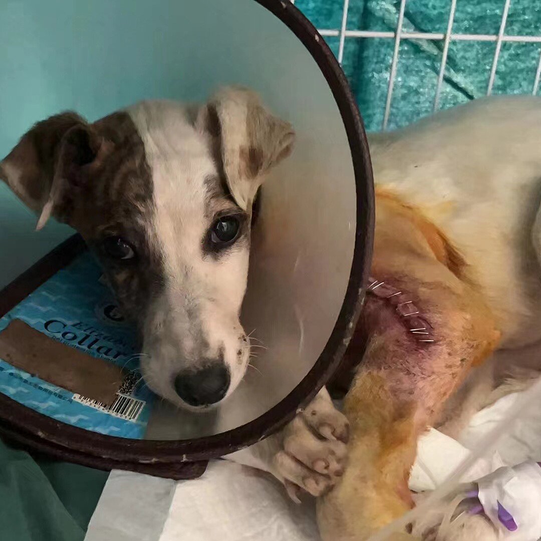 Break the Cycle. Save Lives.