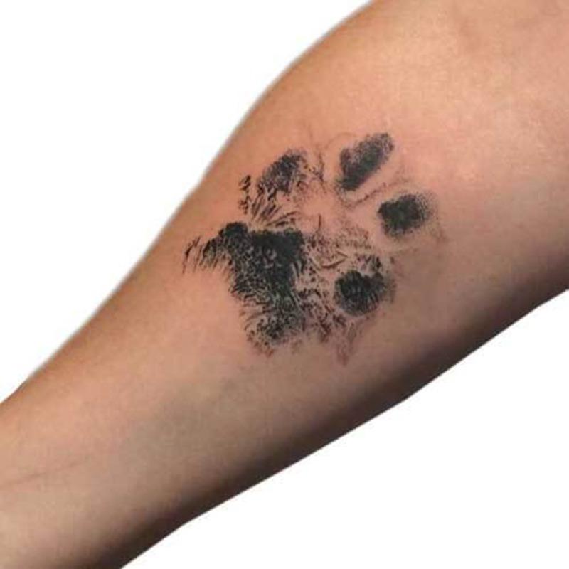 Paw Print on Hand