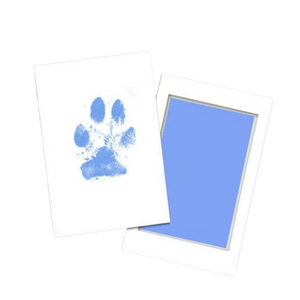 Paw Print Pad Kit