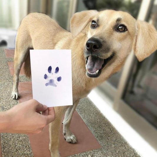 Paw Print Pad